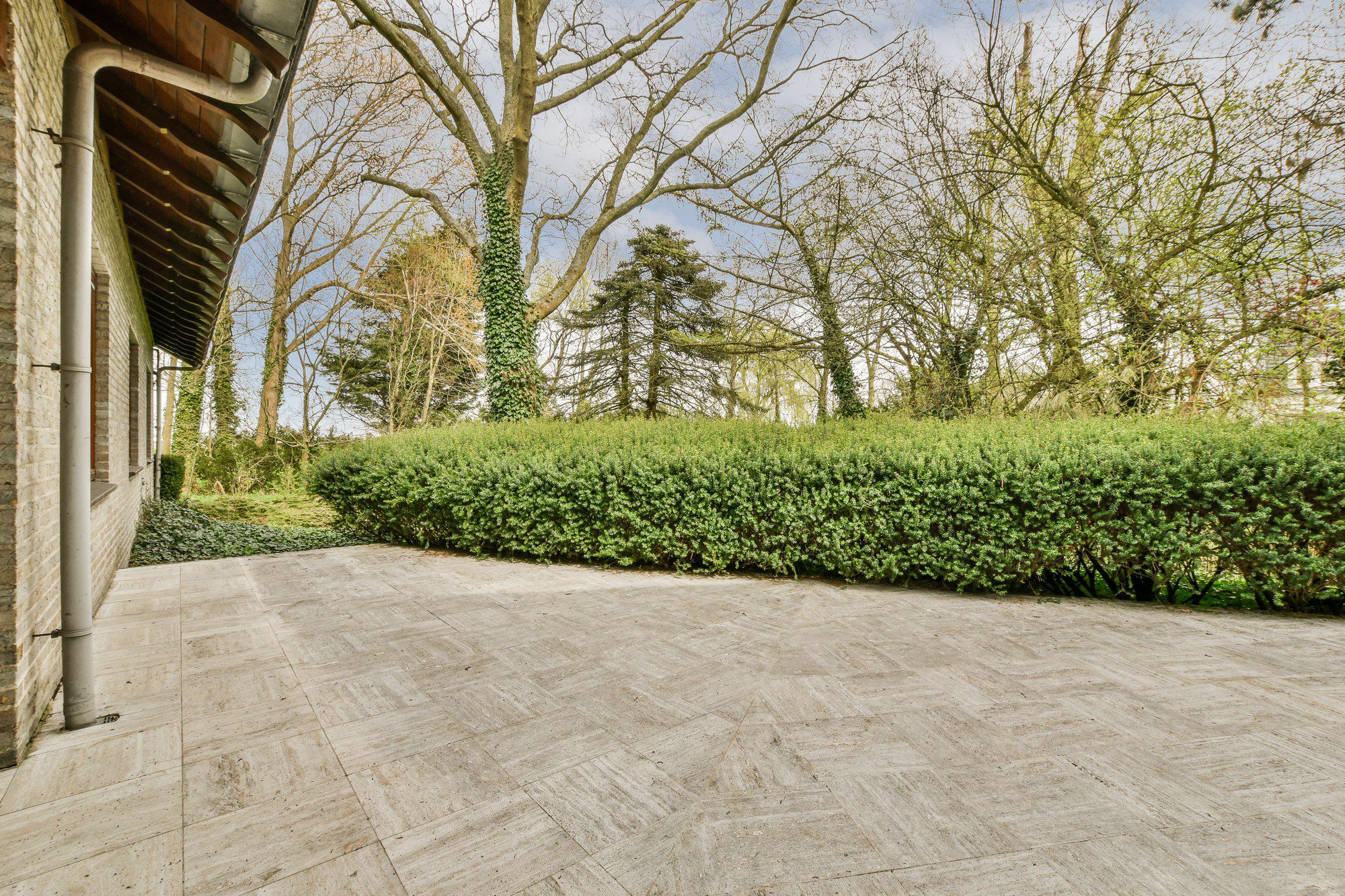 This image shows an outdoor patio area adjacent to a building. The patio has tile flooring with a herringbone pattern. To the right, there is a well-maintained, dense hedge providing privacy and a green backdrop. Large trees with bare branches suggest the photo might have been taken in a season when trees have not yet fully leafed out, possibly late winter or early spring. There's also an overhang from the building providing shelter for part of the patio, and a downspout from the gutter is visible along the column of the building. The sky is partly cloudy, and the surrounding environment appears to be a park or a garden with various trees and shrubs.