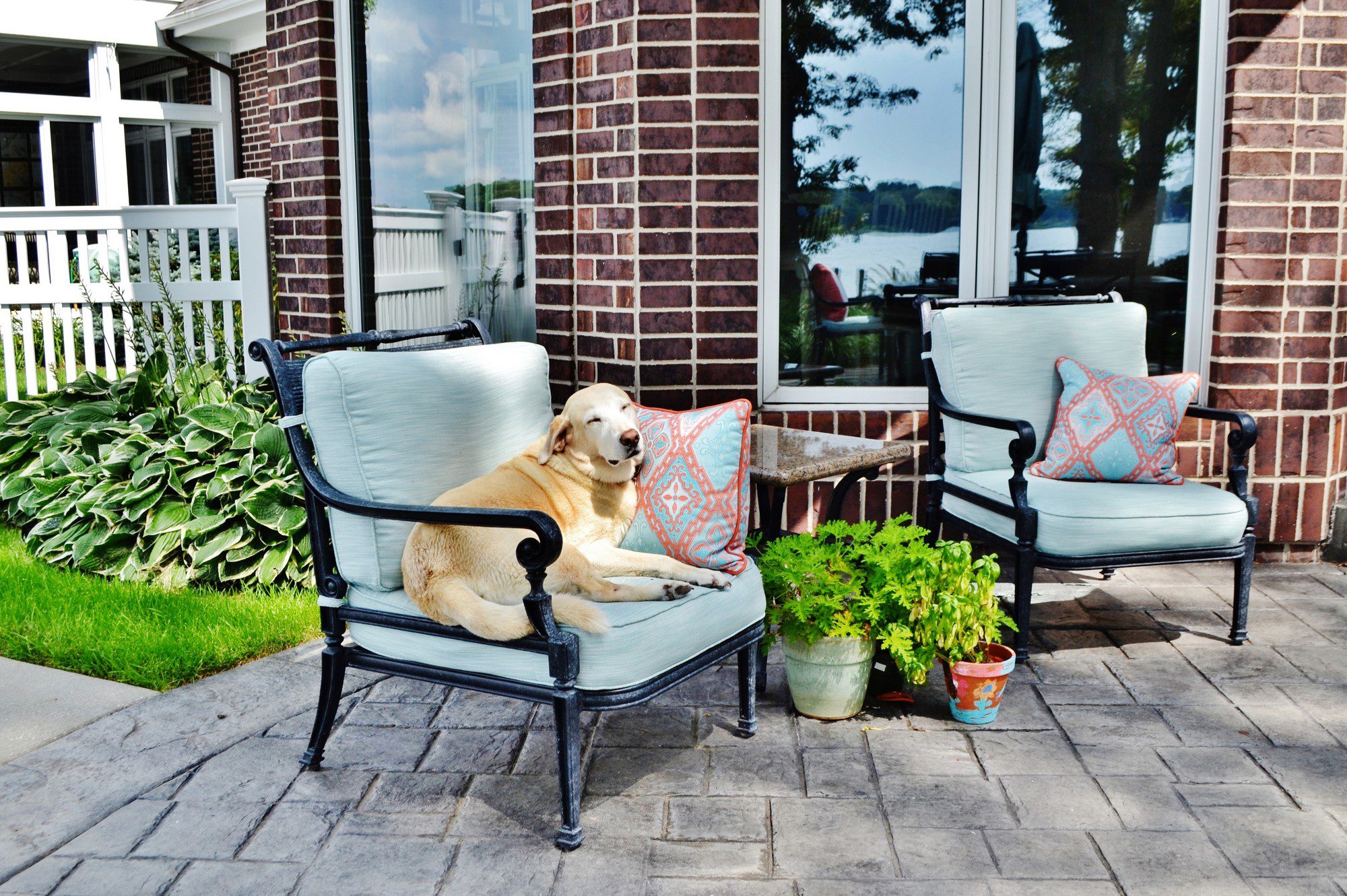 The image shows a comfortable and inviting outdoor sitting area by a brick house. There is a dog relaxing on one of the two cushioned patio chairs. Both chairs are black with light blue cushions and colorful patterned pillows. There's a variety of plants around the chairs, including some in pots on the ground and a bushy plant in the corner by the fence. The ground is covered with stone pavers, and in the background, through the house's glass doors, a body of water and greenery can be seen, suggesting that this house is located near a lake or a similar body of water. The scene is bathed in natural light, contributing to the tranquil and cosy atmosphere.