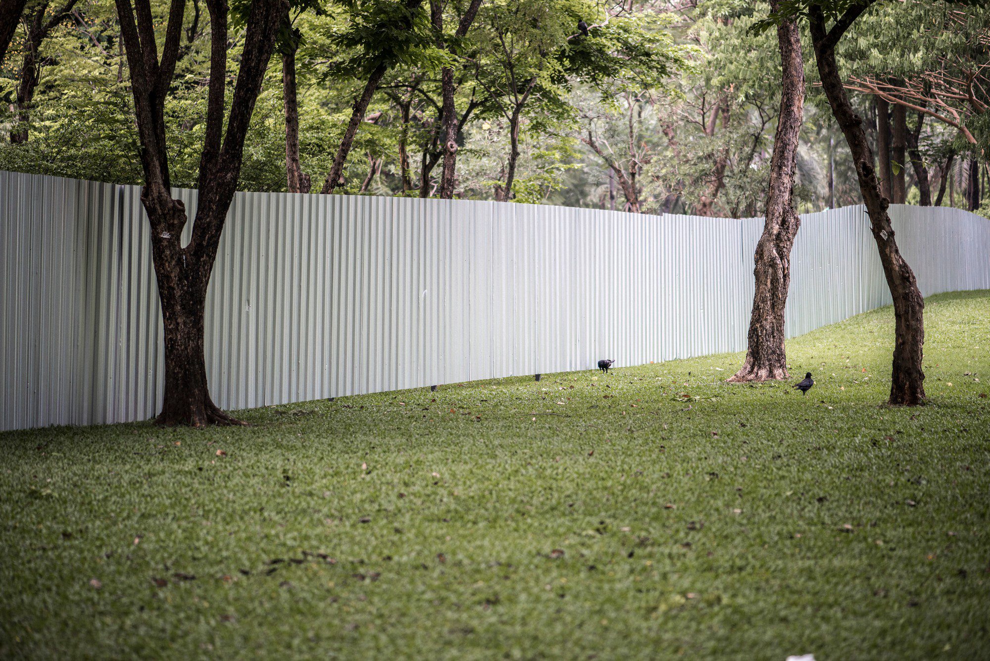 Big Fence In An Urban Park 2022 12 16 00 25 31 Utc