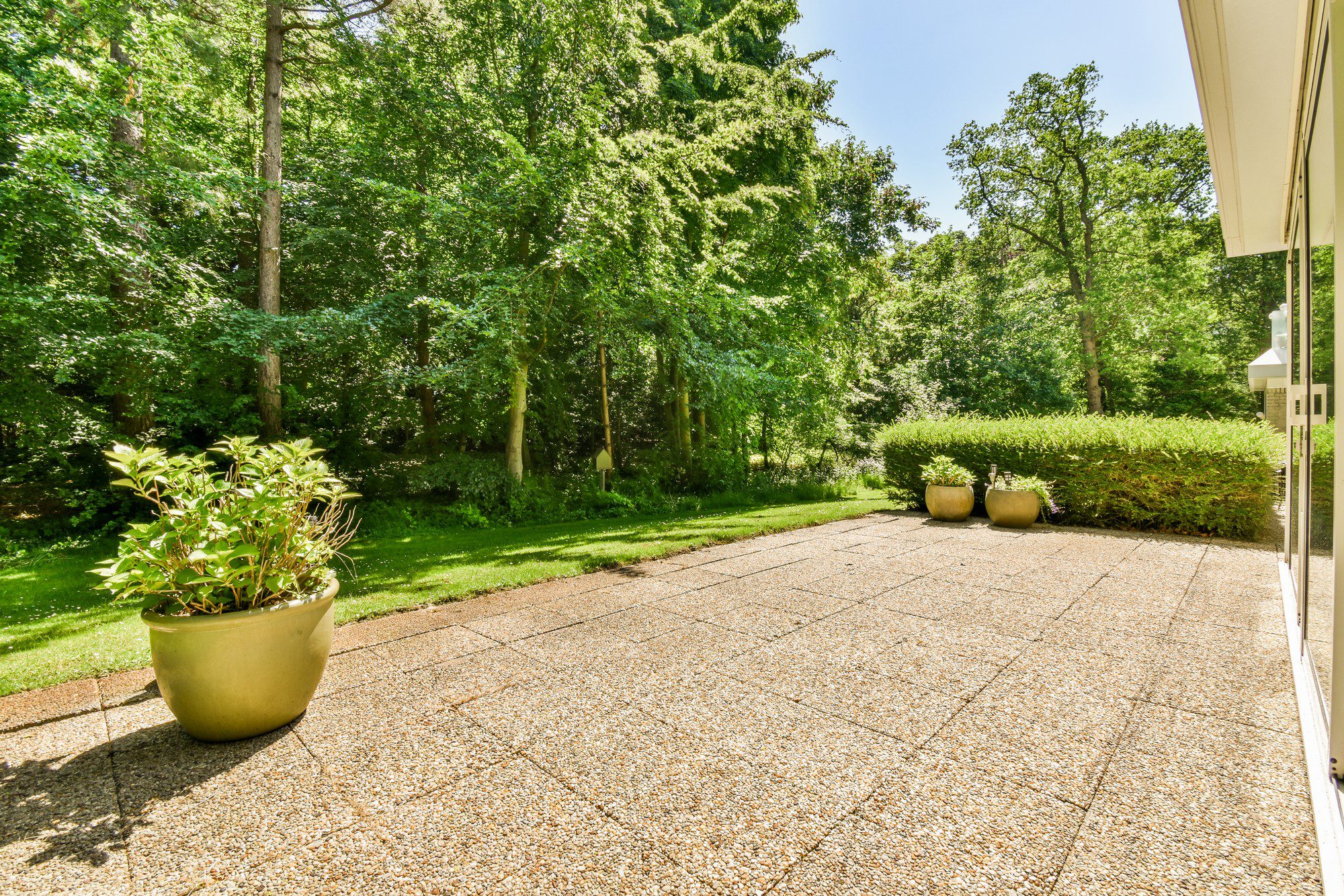 This image shows a well-maintained outdoor patio area adjoining to a house. The patio floor is covered with what looks to be a textured paving material that might provide a non-slip surface. On the patio, there's a large planter with a verdant shrub or plant. This planter is placed near the viewer's perspective.Beyond the patio area, we see a manicured lawn surrounded by a variety of trees, creating a peaceful and serene woodland backdrop. The lush green foliage indicates that the picture is taken during a time of year when plants are in full leaf, likely spring or summer. To the right, near the corner of the house, there's a hedge and two large matching planters, and visible through the trees is a part of what seems to be a fence, suggesting this is a private residential space.The light and shadows indicate it's a sunny day, with sunlight filtering through the trees, creating a bright and warm atmosphere in the garden. The angle of the shot and the inclusion of a portion of the building suggest it might have been taken for real estate or landscaping design purposes.