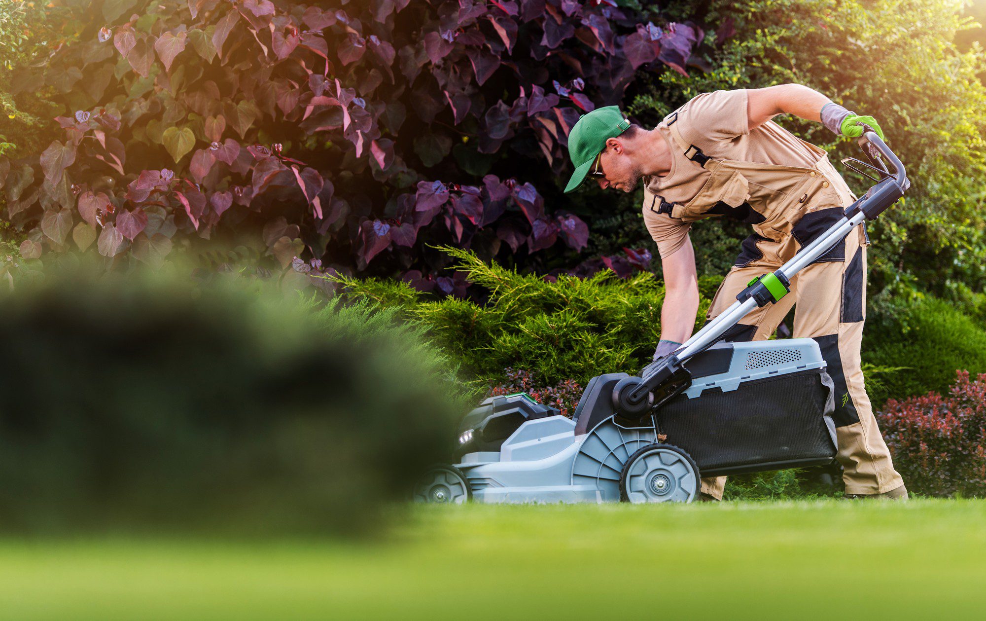 The image shows a person mowing a lawn with a lawn mower. This individual is dressed in work attire suitable for yard maintenance: a beige outfit with shorts, a green cap, and gloves for protection. The background features a well-maintained garden with lush, green shrubs and plants with burgundy leaves. It seems to be a sunny day, indicated by the bright lighting and shadows cast on the ground. The focus is on the person and the lawnmower, with a nicely manicured hedge in the immediate background and some blurred greenery in the foreground.