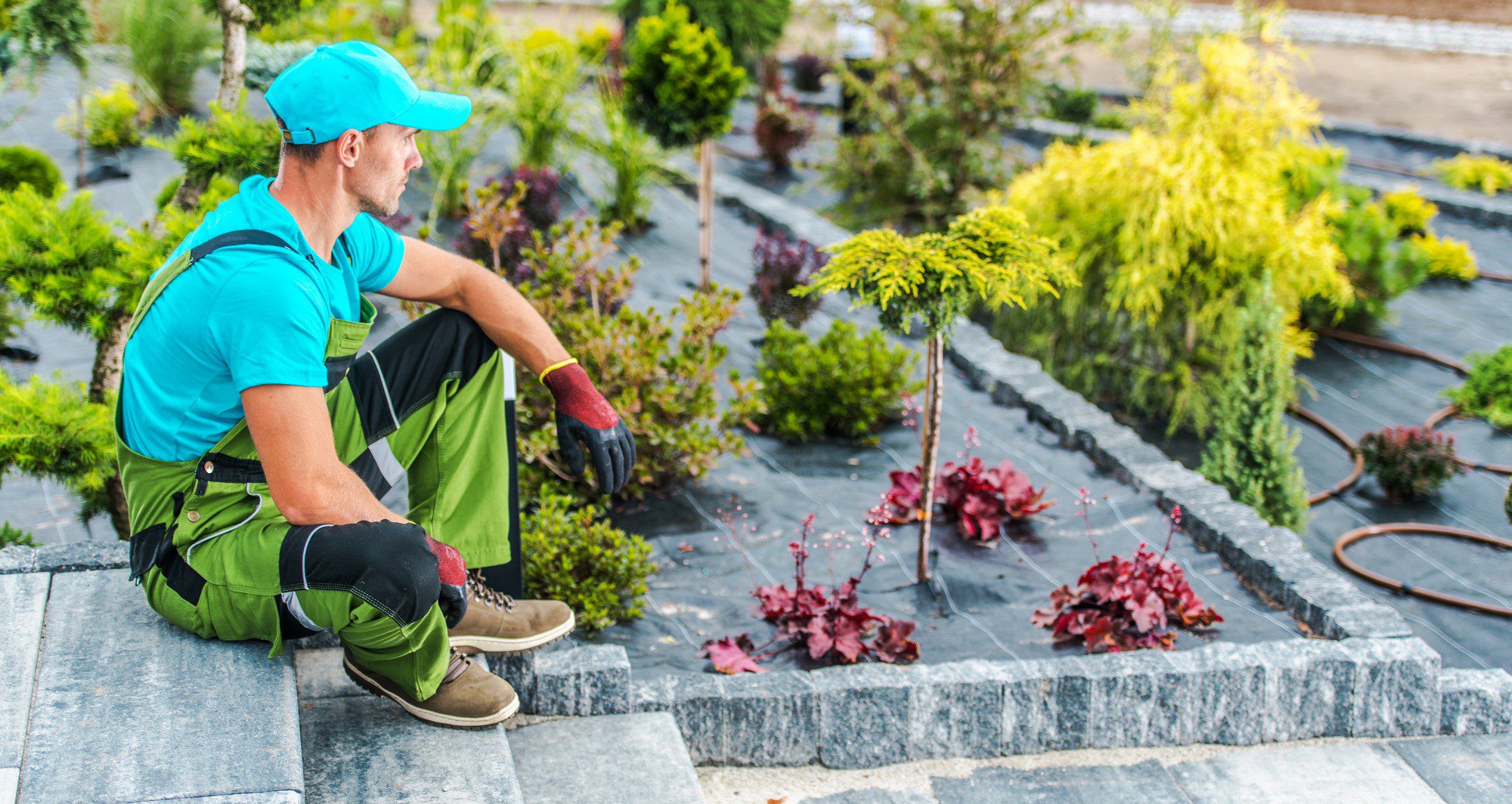 The image showcases a person, likely a gardener or landscaper, seated on the edge of a paved area with their gaze directed towards some greenery. The individual is wearing work attire that consists of a bright teal shirt, green pants with reflective safety strips, and a matching teal cap. They also sport gloves, which implies they might have been working with plants or soil.The environment appears to be a well-maintained garden or nursery with rows of various plants, some of which have colorful foliage. The area has gravel or mulch-covered beds, separated by stone edging, and a drip irrigation system can be seen laid out along the plants, indicating an efficient watering solution. The overall look of the image suggests the person might be taking a break from garden work or contemplating the next task in landscaping or plant care.